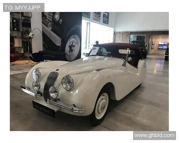 明斯特普鲁士的历史遗迹与文化传承探秘之旅 明斯特普鲁士的历史遗迹与文化传承探秘之旅